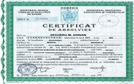 Certificat - Coordonator SSM