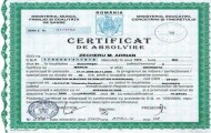 Certificat Coordonator SSM
